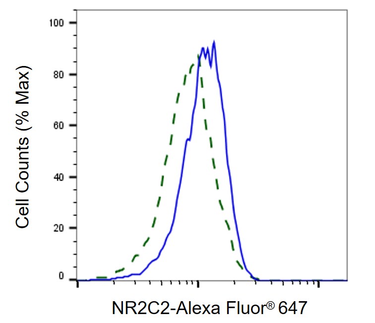 TR4/NR2C2 Antibody (24GB730)