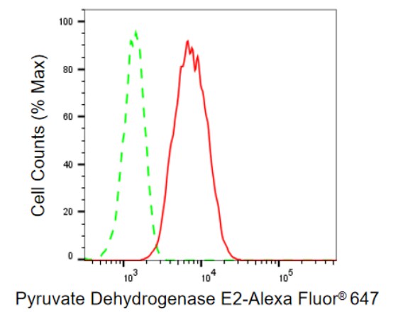 Pyruvate Dehydrogenase E2 Antibody (23GB1010)