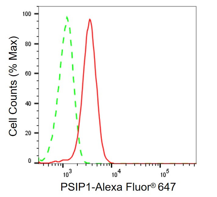 LEDGF Antibody (24GB840)