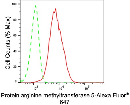 PRMT5 Antibody (24GB845)