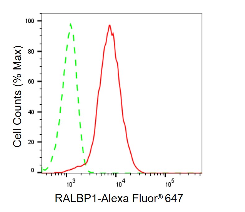 RALBP1 Antibody (24GB875)