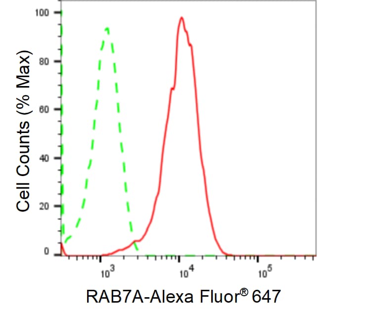 Rab7a Antibody (24GB895)