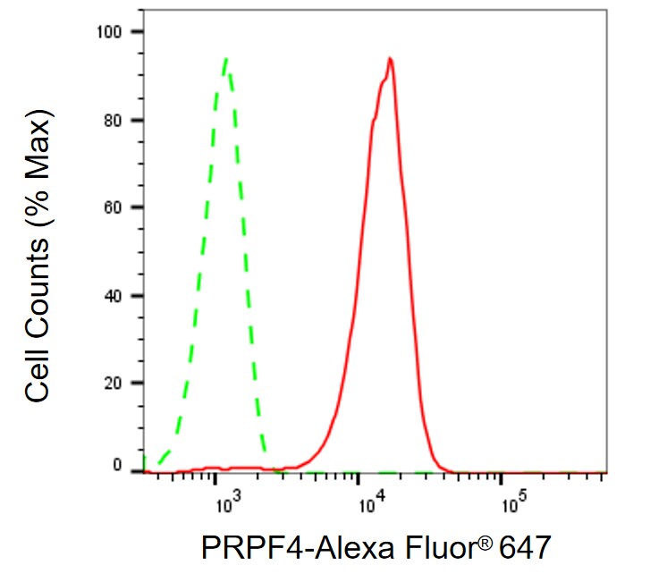 PRPF4 Antibody (24GB975)