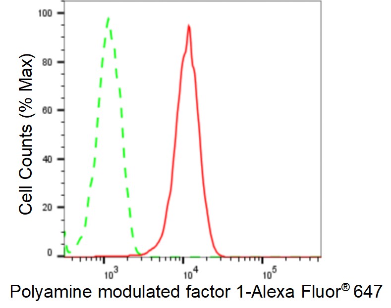 PMF1 Antibody (24GB985)