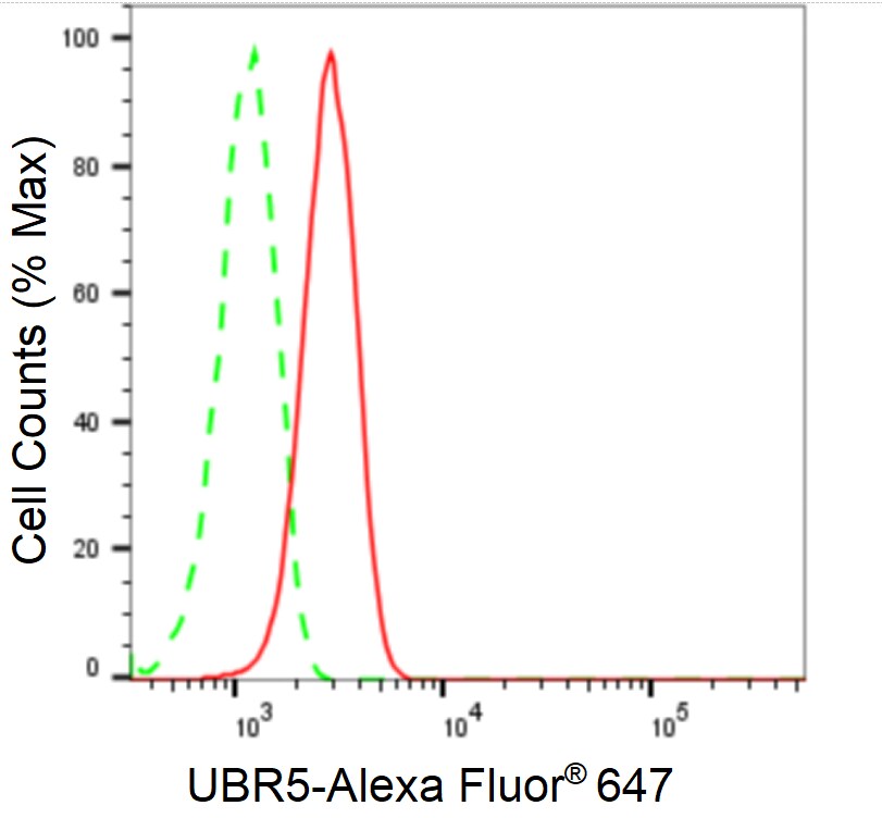 UBR5/EDD Antibody (24GB2540)