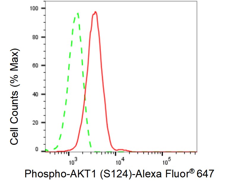 AKT1 [p Ser124] Antibody (23GB1180)