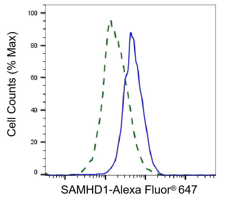 SAMHD1 Antibody (24GB1010)