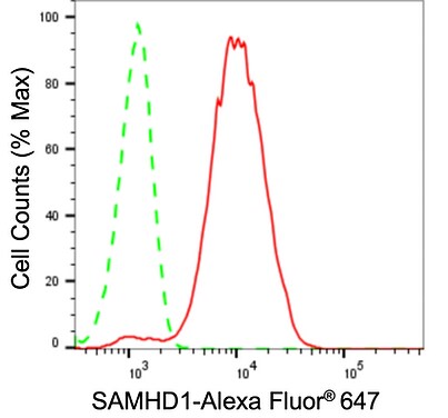 SAMHD1 Antibody (24GB1010)