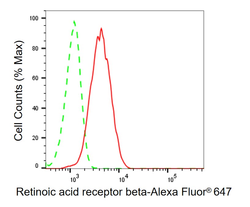RAR beta/NR1B2 Antibody (24GB1045)