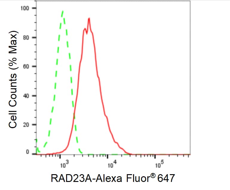 Rad23 Antibody (24GB1080)