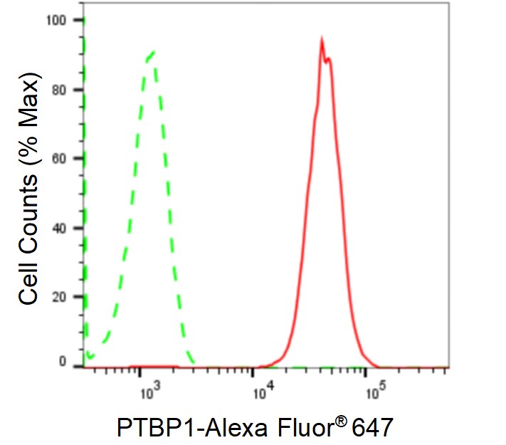 PTBP1 Antibody (24GB1095)