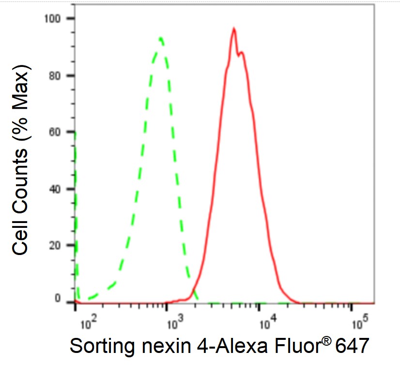 SNX4 Antibody (24GB2335)