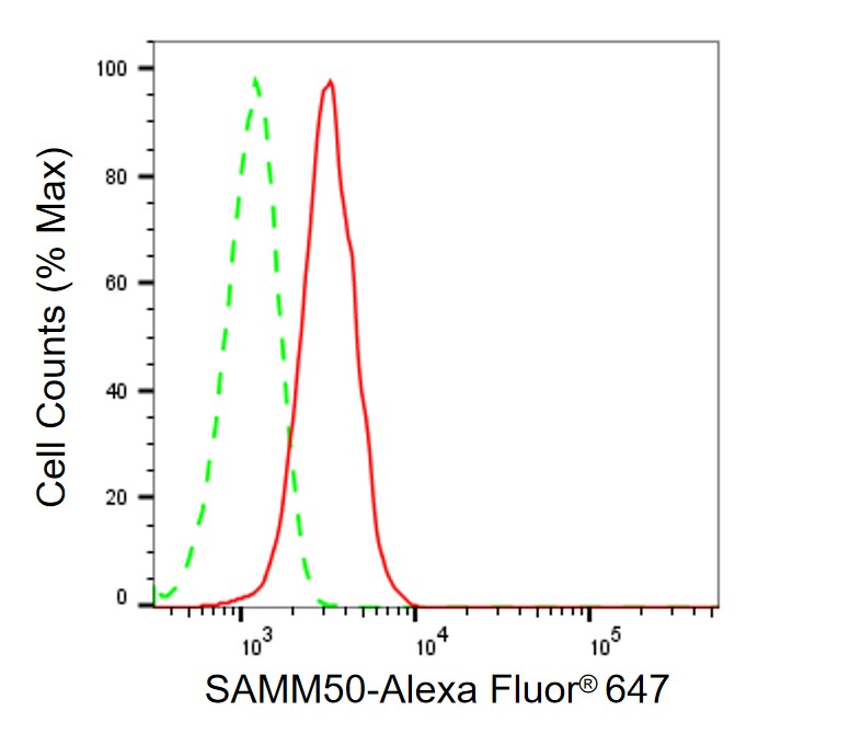 SAMM50 Antibody (24GB1135)
