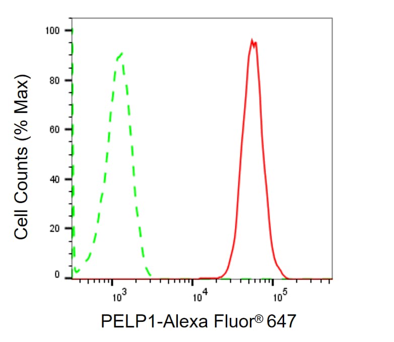 PELP1 Antibody (24GB1145)