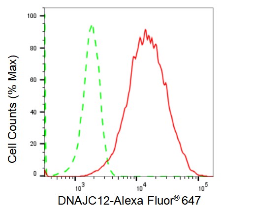DNAJC12 Antibody (23GB1815)