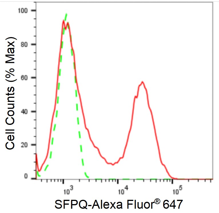 SFPQ Antibody (24GB1220)
