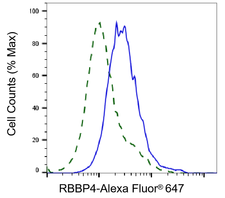 RBBP4/RbAp48 Antibody (24GB1240)