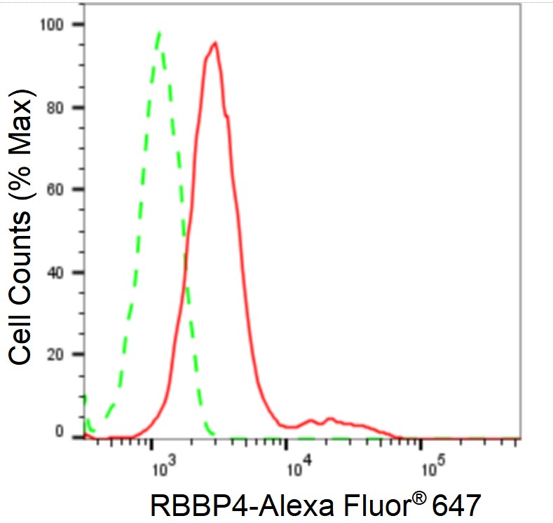 RBBP4/RbAp48 Antibody (24GB1240)