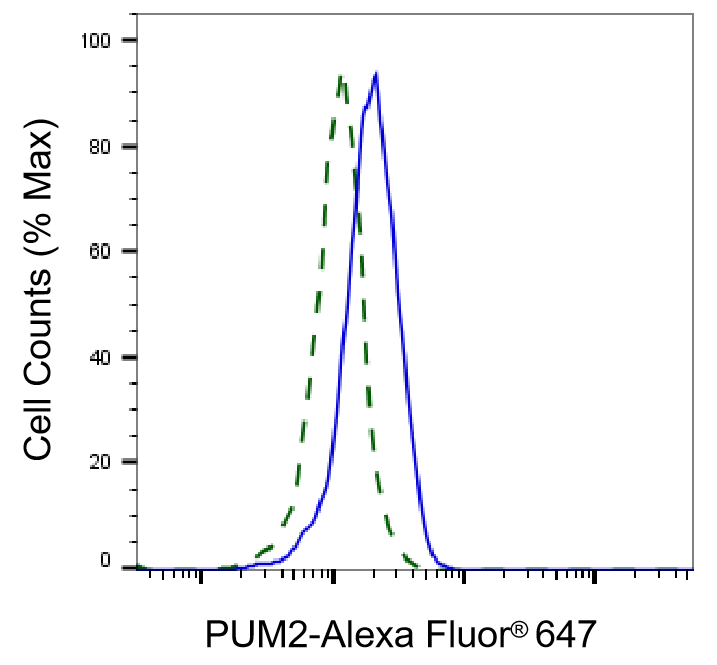 PUM2 Antibody (24GB1250)