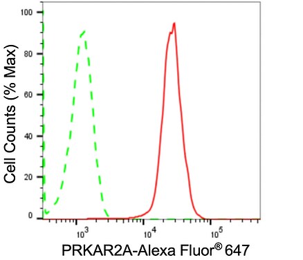 PKA R2 Antibody (24GB1265)