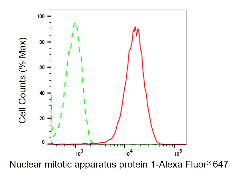 NuMA Antibody (24GB1290)