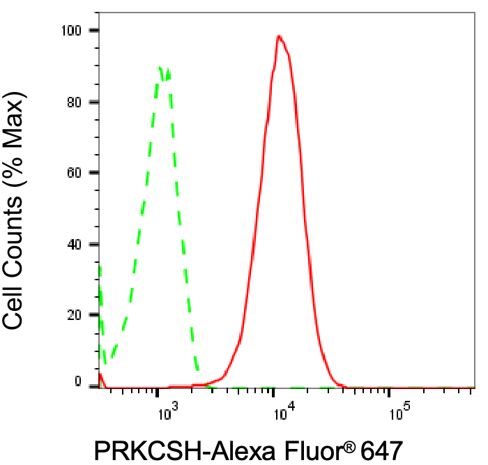 PRKCSH Antibody (24GB1325)