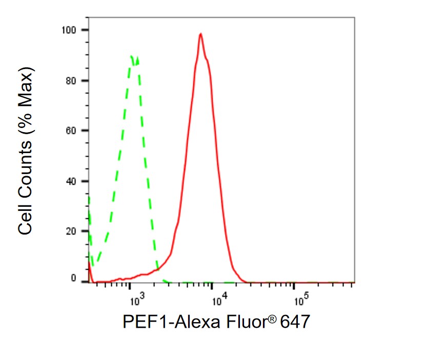 Peflin Antibody (24GB1340)