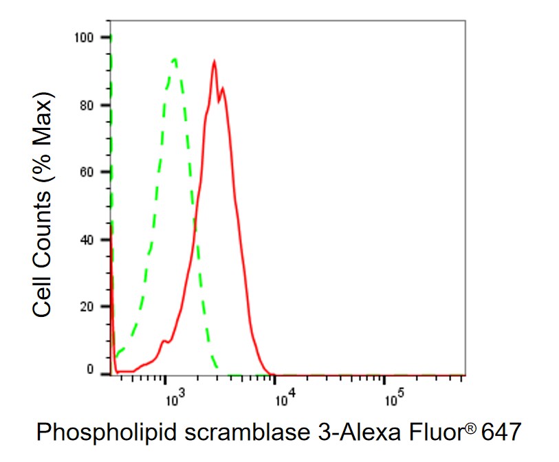 PLSCR3 Antibody (24GB1345)