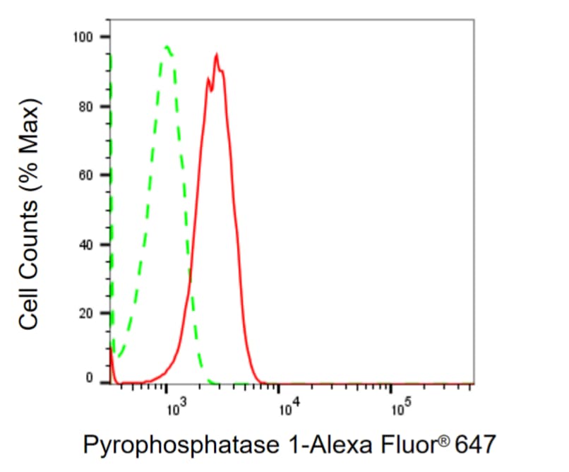 Inorganic Pyrophosphatase/PPA1 Antibody (24GB1365)