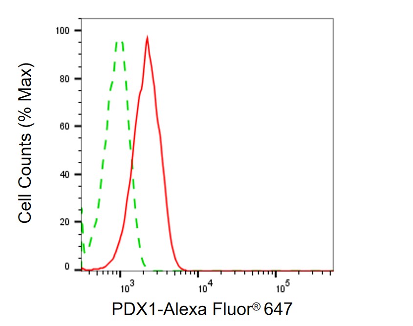 PDX-1/IPF1 Antibody (24GB1380)