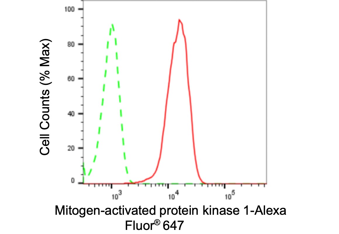 ERK2 Antibody (24GB3095)