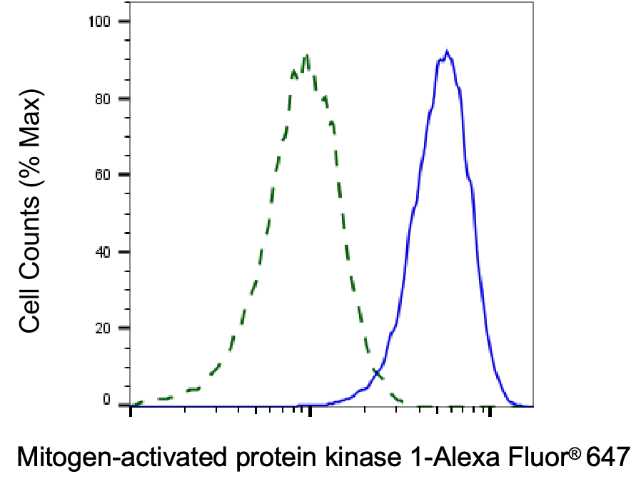 ERK2 Antibody (24GB3095)