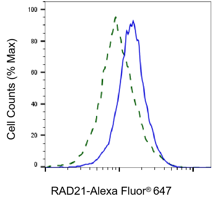 Rad21 Antibody (24GB1390)