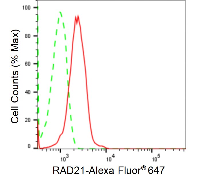 Rad21 Antibody (24GB1390)