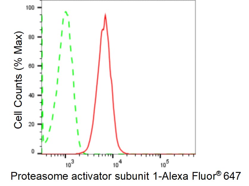 PA28 Activator alpha Subunit/PSME1 Antibody (24GB1505)