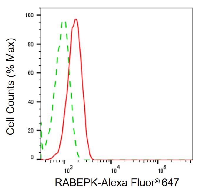 p40 Antibody (24GB1540)