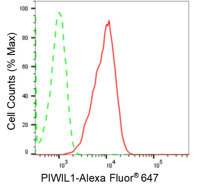 PIWIL1/HIWI Antibody (24GB1545)
