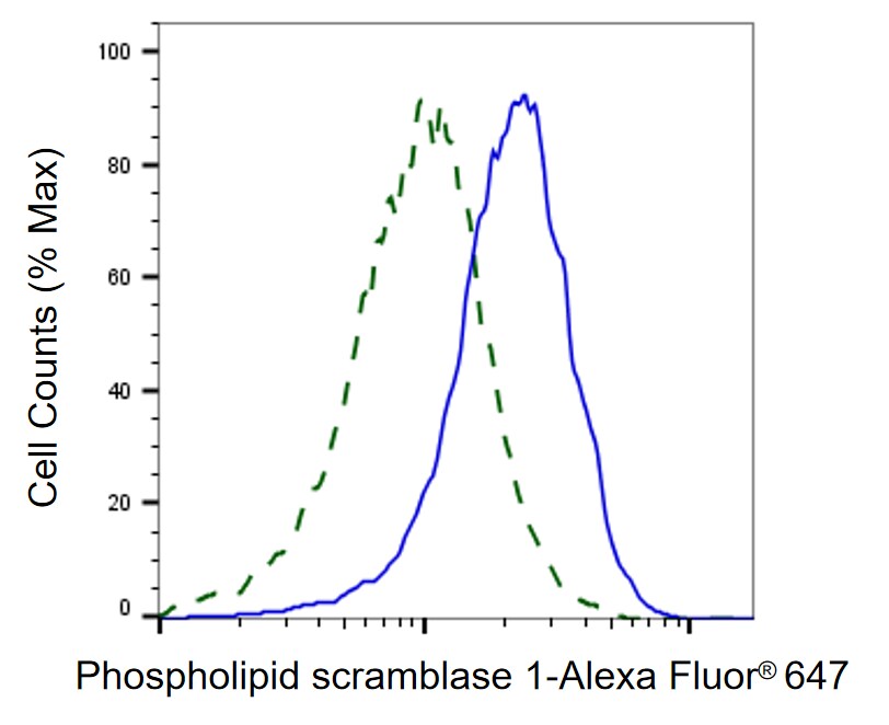 Phospholipid Scramblase 1/PLSCR1 Antibody (24GB1550)