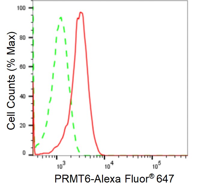 PRMT6 Antibody (24GB1585)