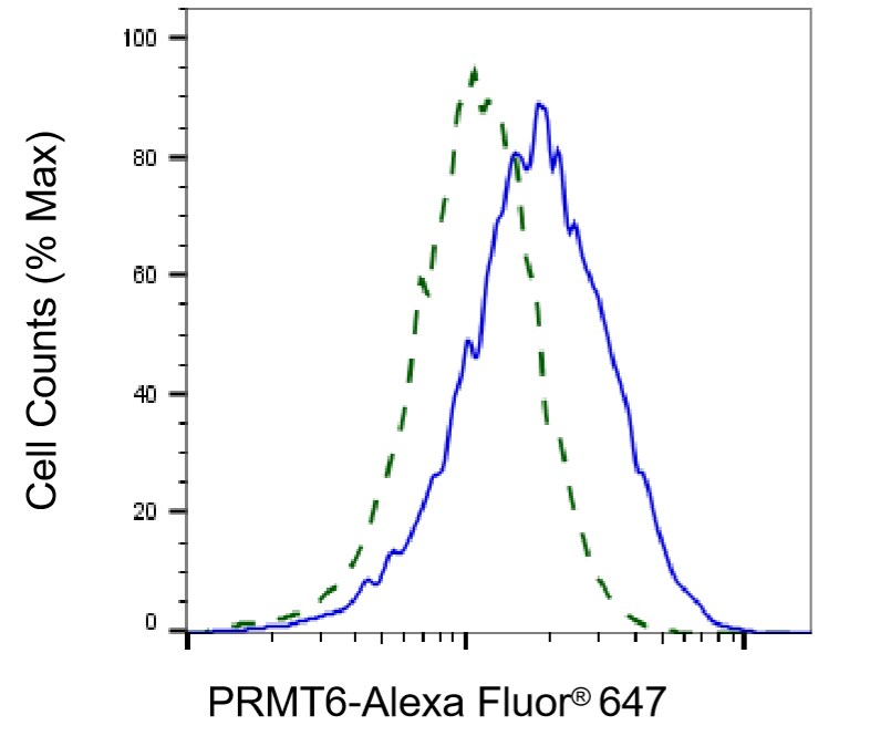 PRMT6 Antibody (24GB1585)