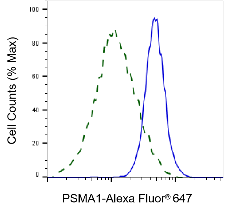 PSMA1 Antibody (24GB1610)
