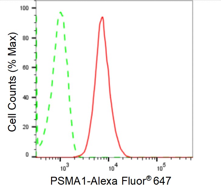 PSMA1 Antibody (24GB1610)