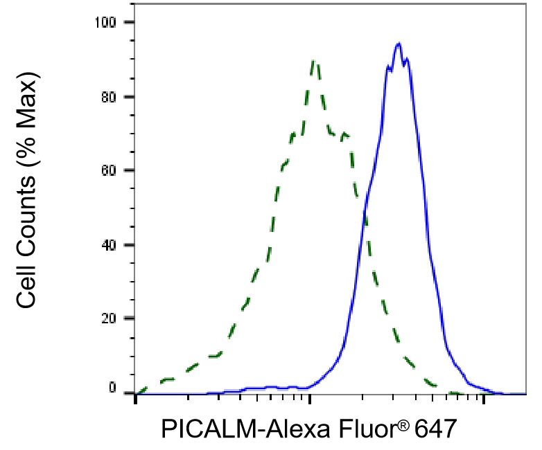 PICALM Antibody (24GB1620)