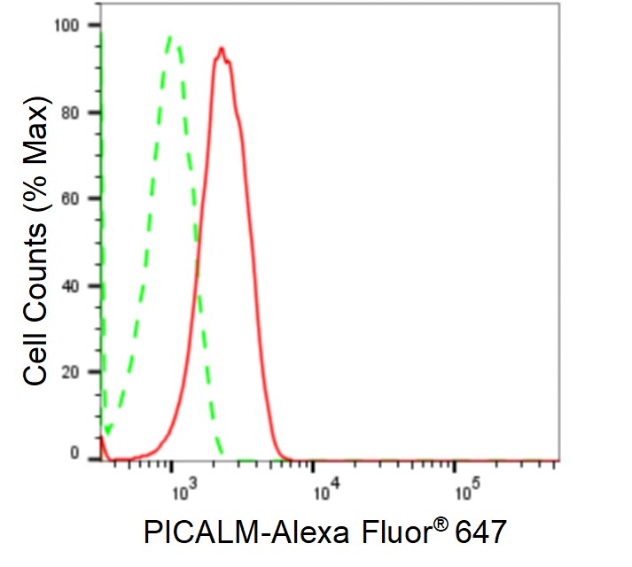 PICALM Antibody (24GB1620)