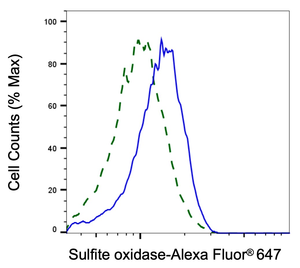 SUOX Antibody (24GB1790)