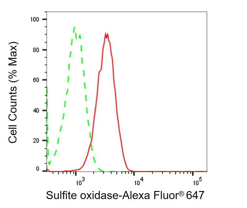SUOX Antibody (24GB1790)