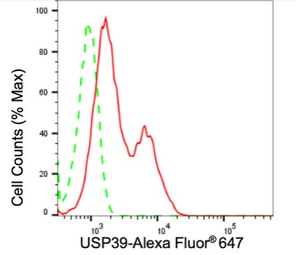 USP39 Antibody (24GB1810)