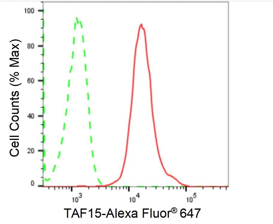 TAF15 Antibody (24GB1830)