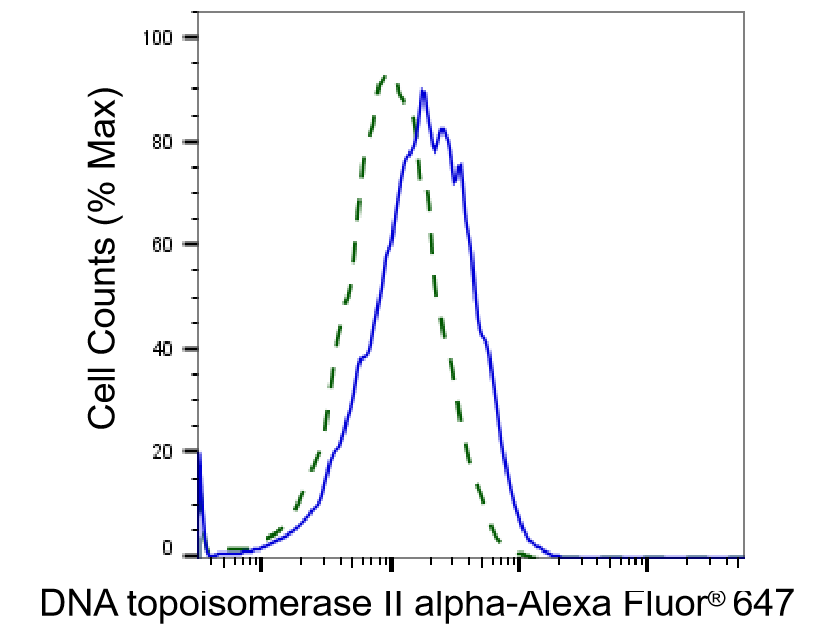 TOP2A Antibody (24GB1915)