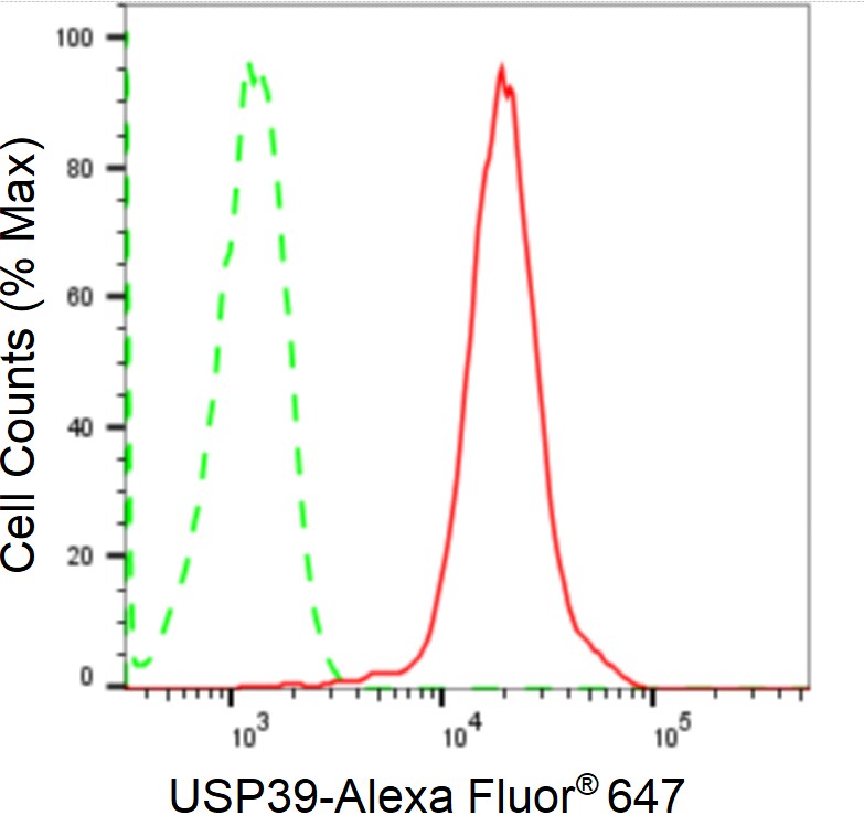 USP39 Antibody (24GB1930)